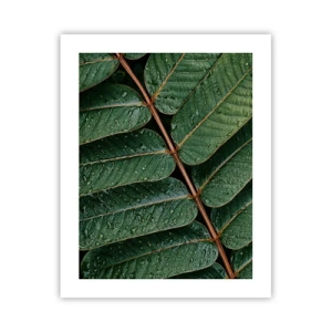 Poster - Într-un ritm verde - 40x50 cm