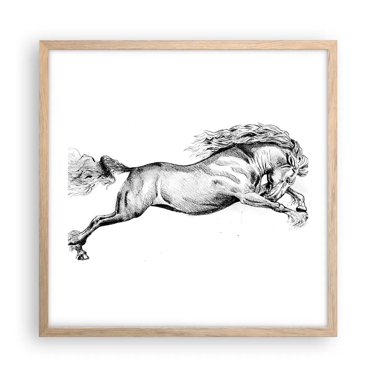 Poster în ramă de stejar deschis - Oprit din galop - 50x50 cm