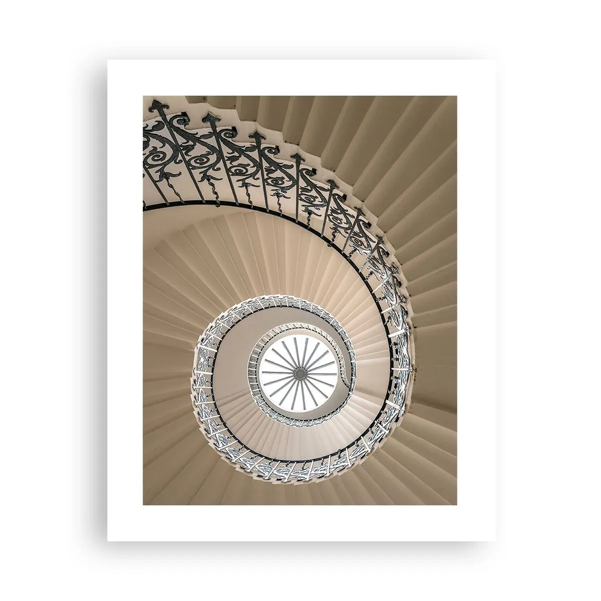 Poster - În interiorul cochiliei - 40x50 cm