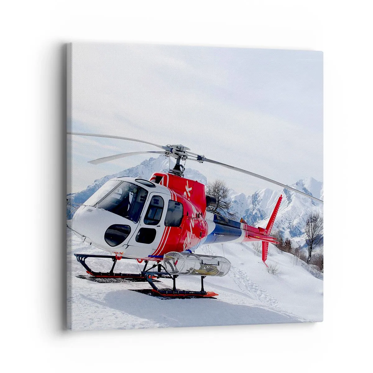 Tablou pe pânză - Întotdeauna gata - 40x40 cm