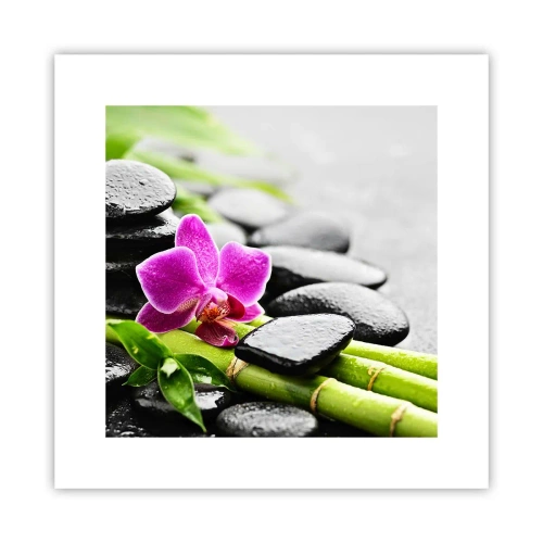 Poster - Într-un echilibru pașnic - 30x30 cm