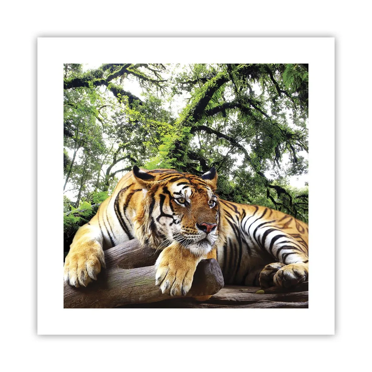 Poster - Cu respect - 40x40 cm