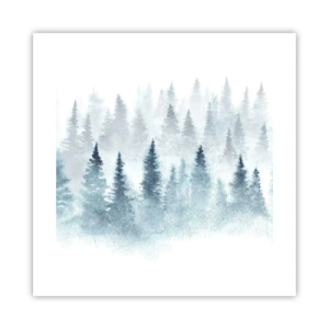 Poster - Înfășurate în ceață - 40x40 cm