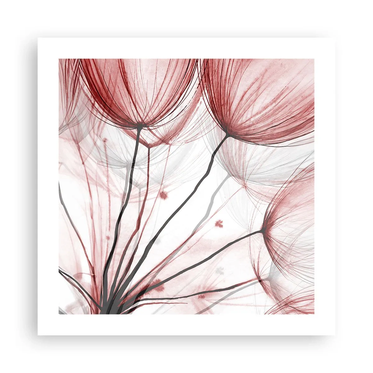 Poster - Înainte de plecare - 50x50 cm