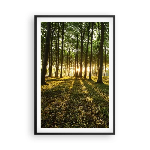 Poster în ramă neagră - Fotografia tuturor primăverilor - 61x91 cm