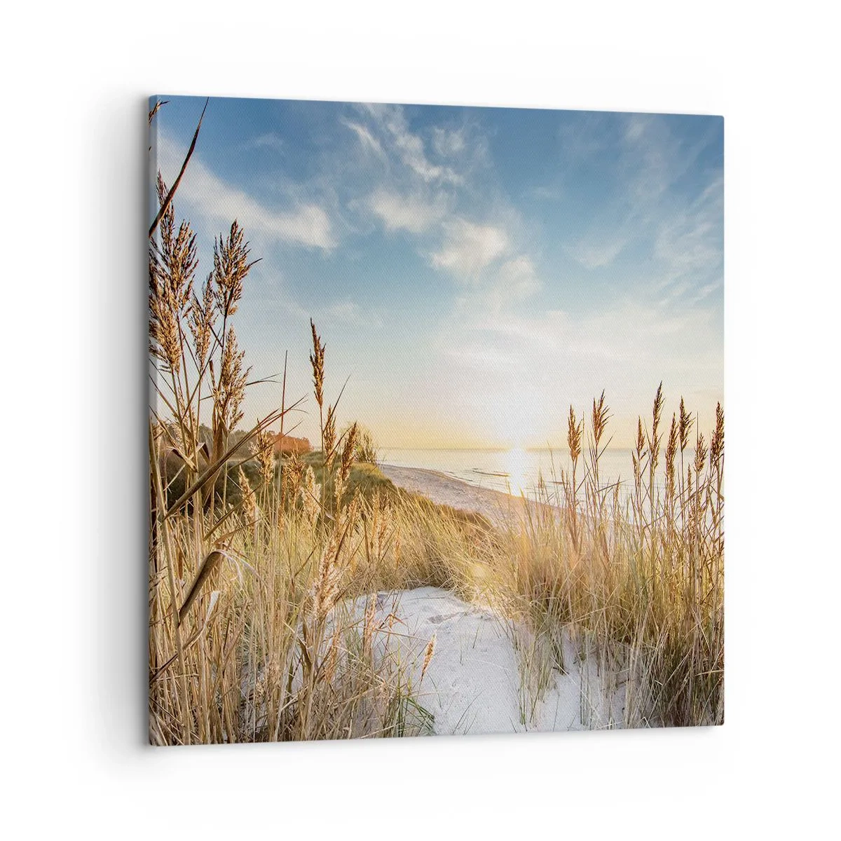 Tablou pe pânză - Plaja de nord - 60x60 cm