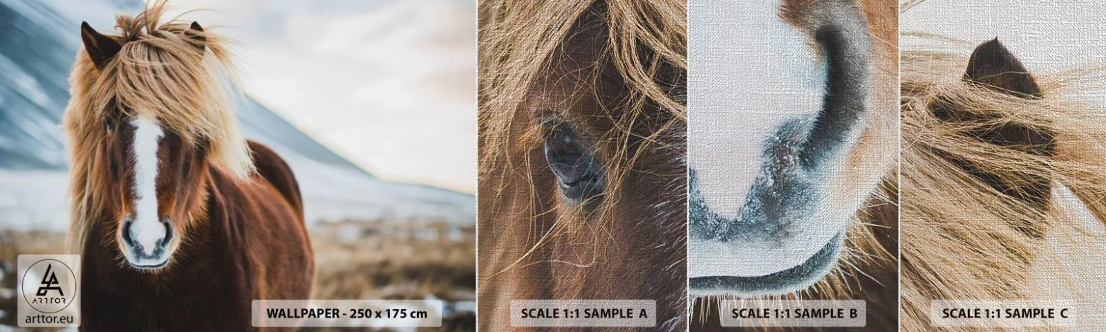 Mostră tapet Premium Canvas - Simțiți libertatea? - Cal, Natură, Animale - 100x30 cm