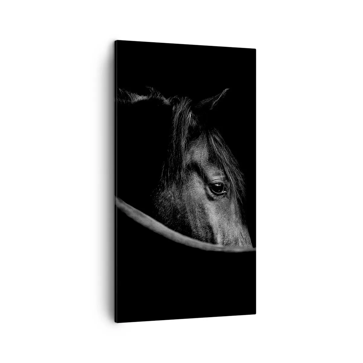 Tablou pe pânză - Prințul negru - 45x80 cm