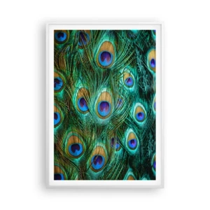 Poster în ramă albă - O privire cu ochi de păun - 70x100 cm