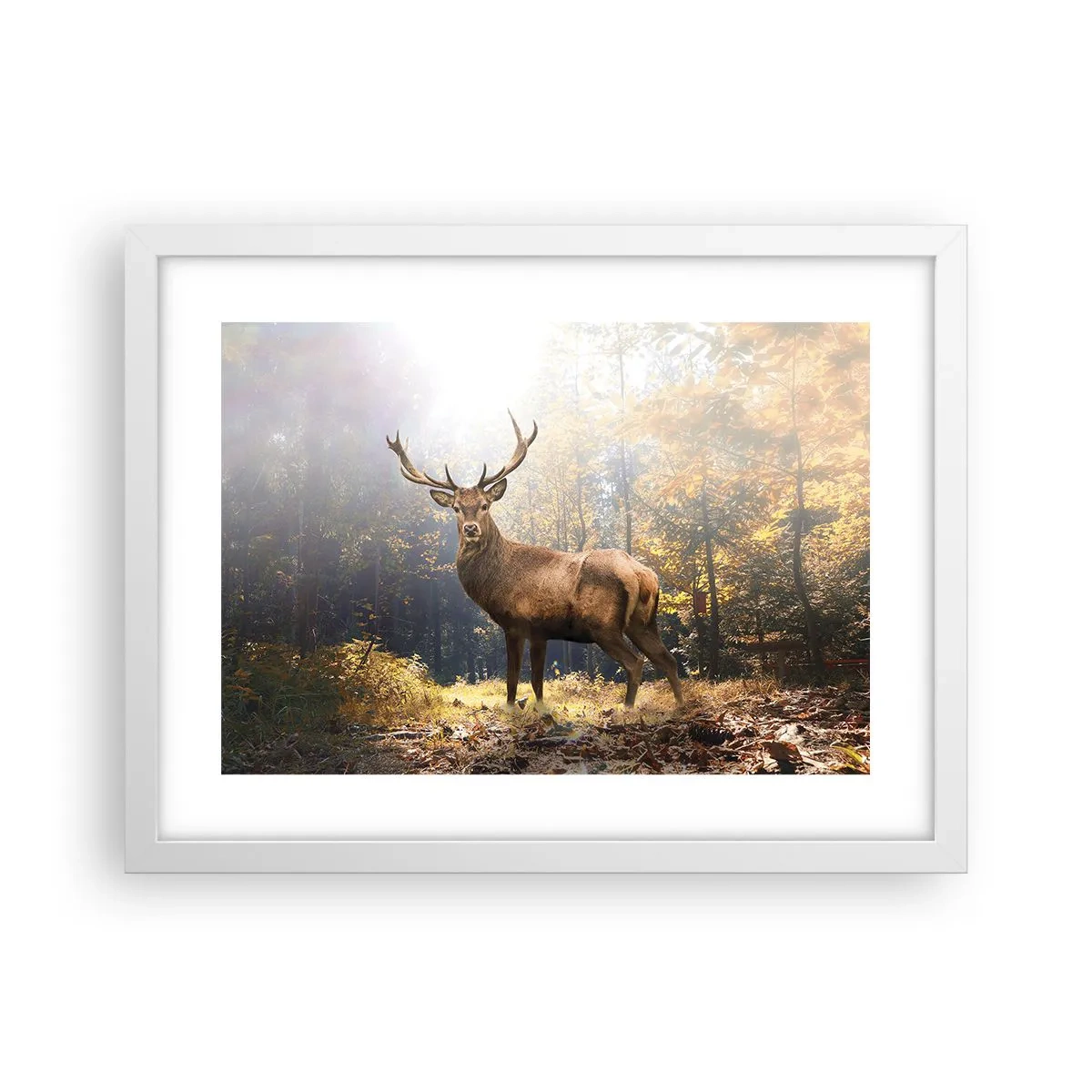 Poster în ramă albă - Măreție calmă - 40x30 cm