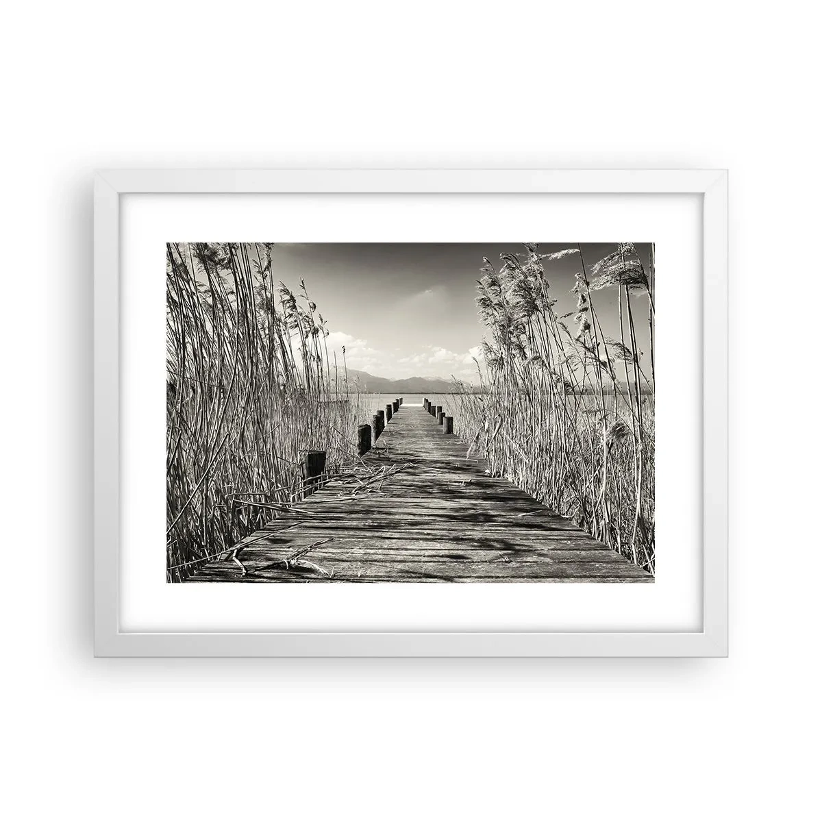 Poster în ramă albă - În intimitatea ierburilor - 40x30 cm