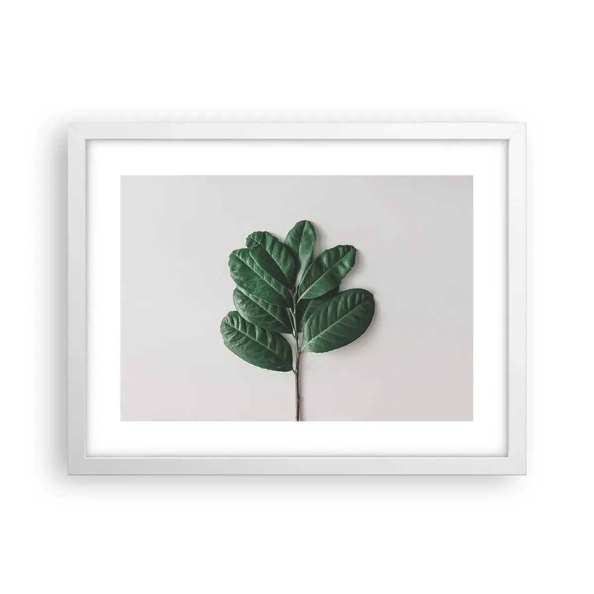 Poster în ramă albă - Desenul naturii însăși - 40x30 cm