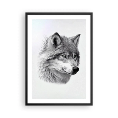 Poster în ramă neagră - Un portret realist al unui lup în nuanțe de gri. - 50x70cm - Alfa - fără îndoială - Decorațiune modernă pentru perete pentru living și dormitor ARTTOR