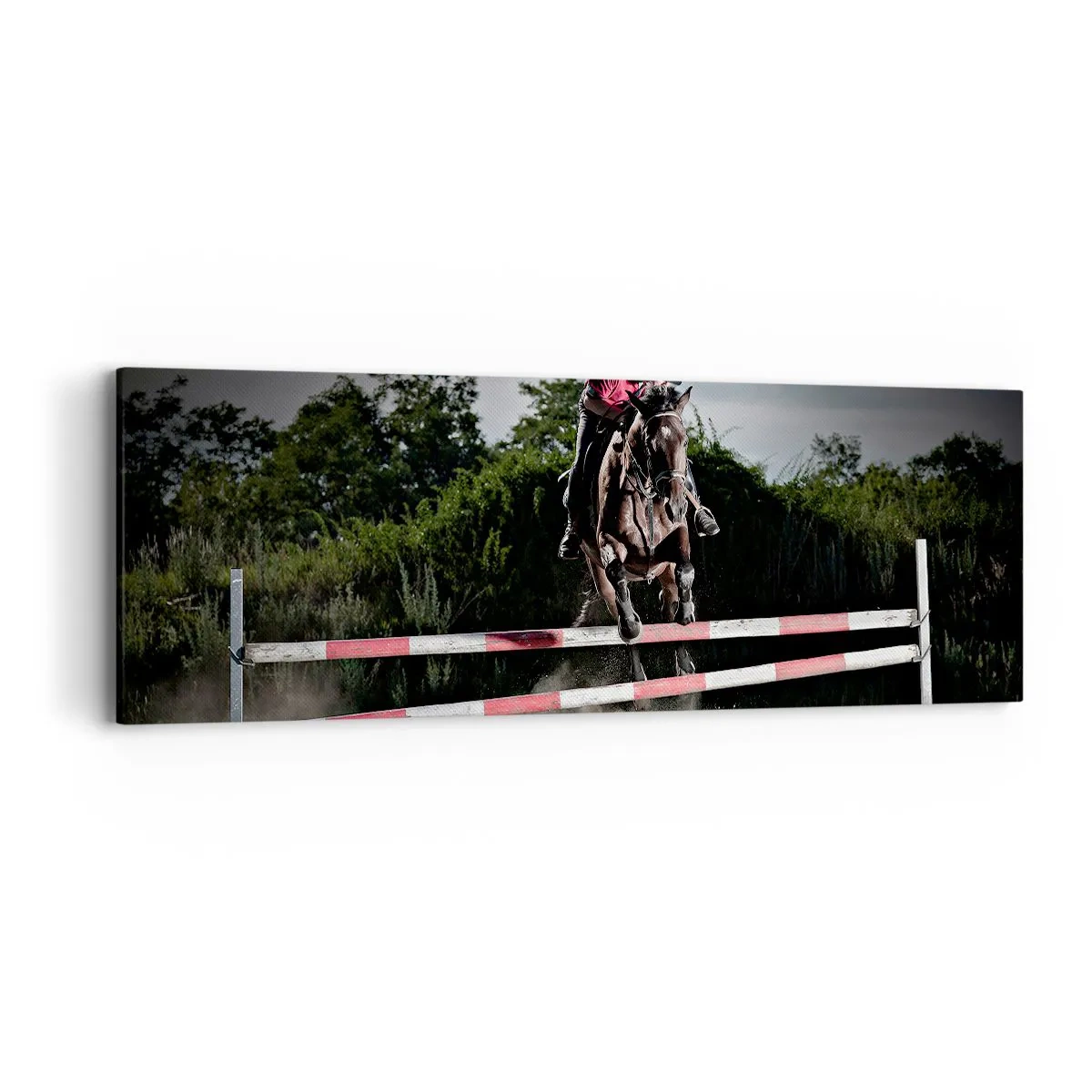 Tablou pe pânză - Împreună pentru victorie - 90x30 cm