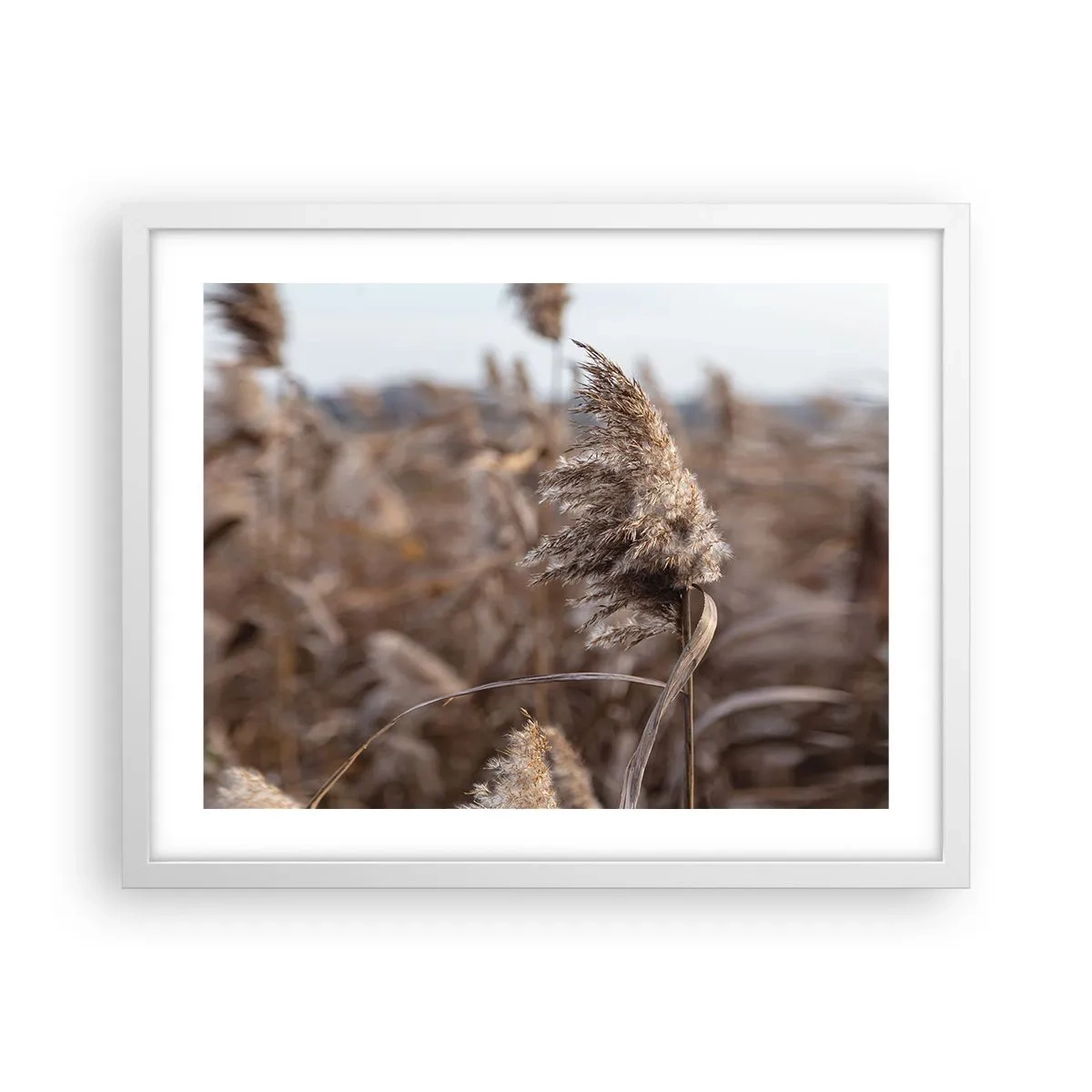 Poster în ramă albă - E timpul să zbori cu vântul - 50x40 cm