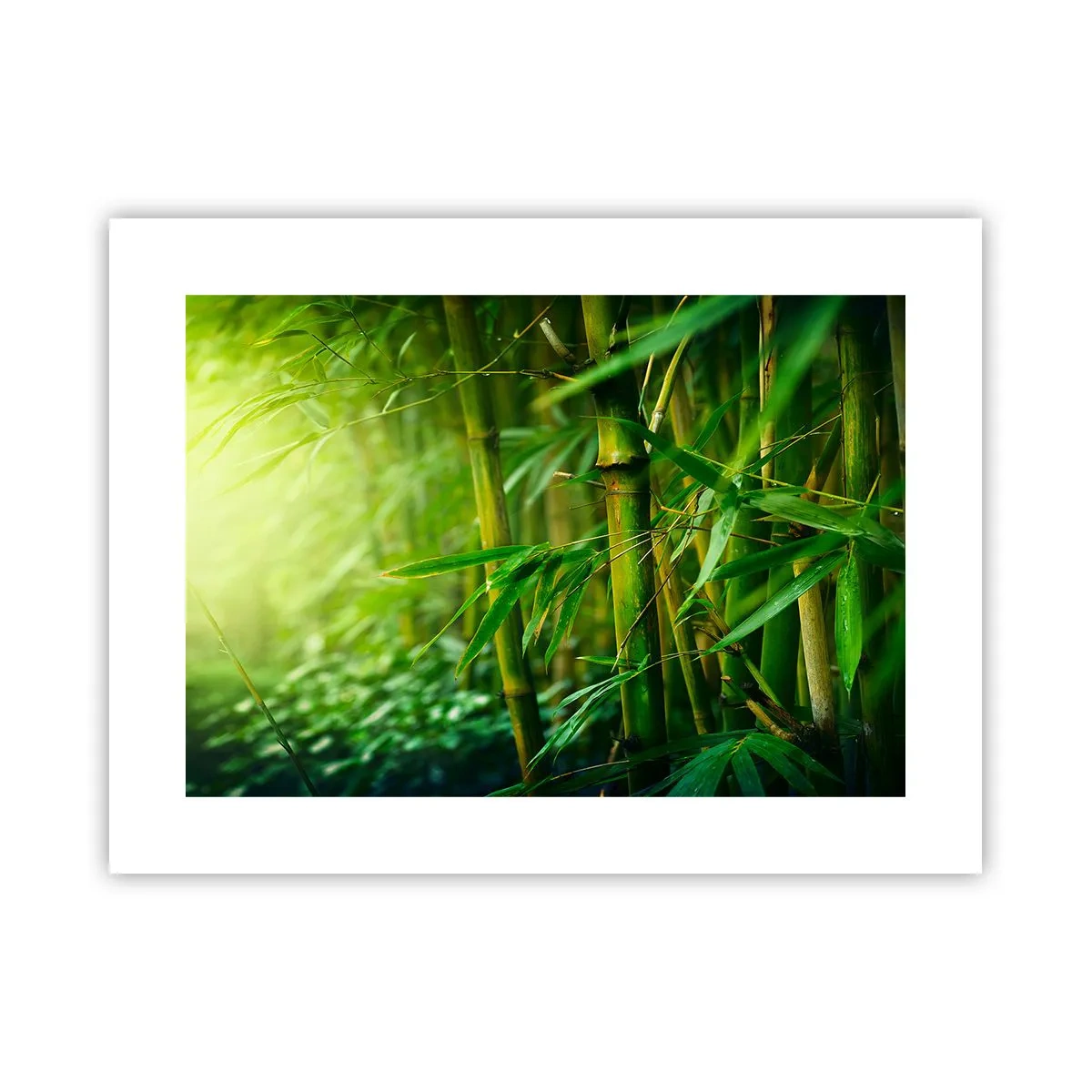 Poster - Cunoașteți verdeața în sine - 40x30 cm