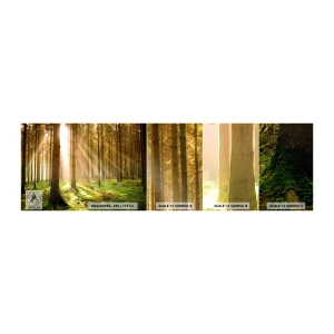 Mostră tapet autocolant Deluxe Sticker - Spiridușii sunt pe cale să apară - pădure, Raze de soare, Natură - 100x30 cm