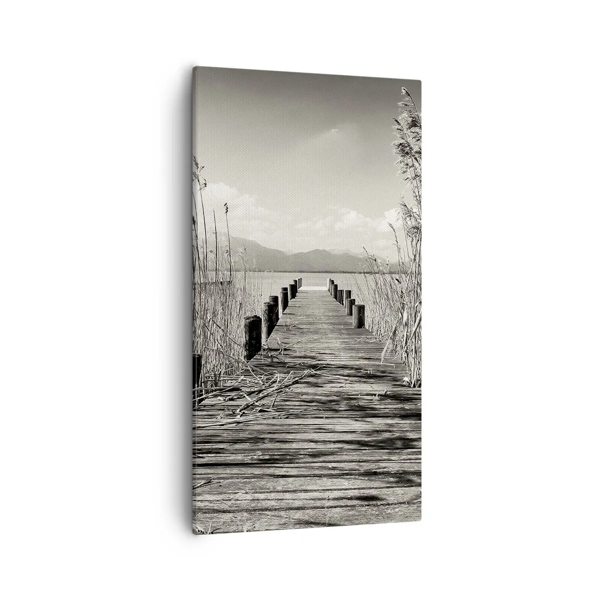 Tablou pe pânză - În intimitatea ierburilor - 55x100 cm