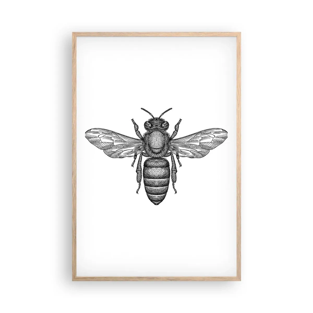 Poster în ramă de stejar deschis - Portret de insectă - 61x91 cm