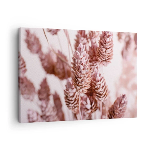 Tablou pe pânză Canvas - Un prim-plan al țepilor roz delicati ai ierburilor ornamentale - 70x50cm - Aparent discrete - Decorațiune modernă pentru perete pentru living și dormitor ARTTOR