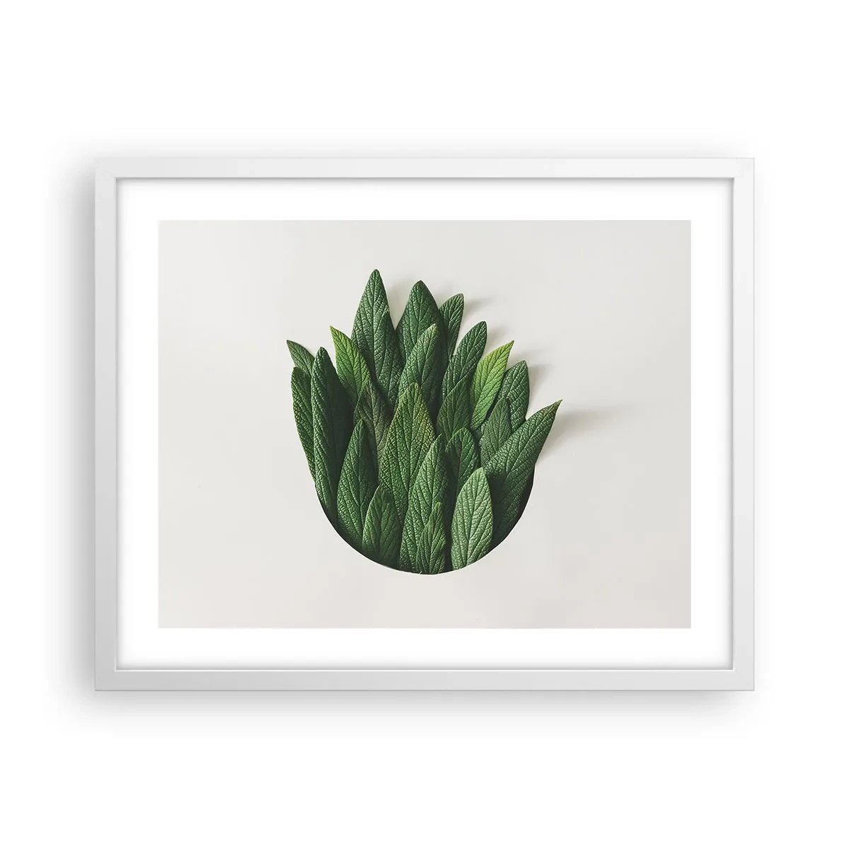 Poster în ramă albă - Curiozitatea nestăvilită - 50x40 cm