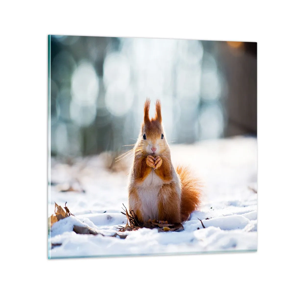 Tablou pe sticlă - Și la ce te uiți? - 70x70 cm