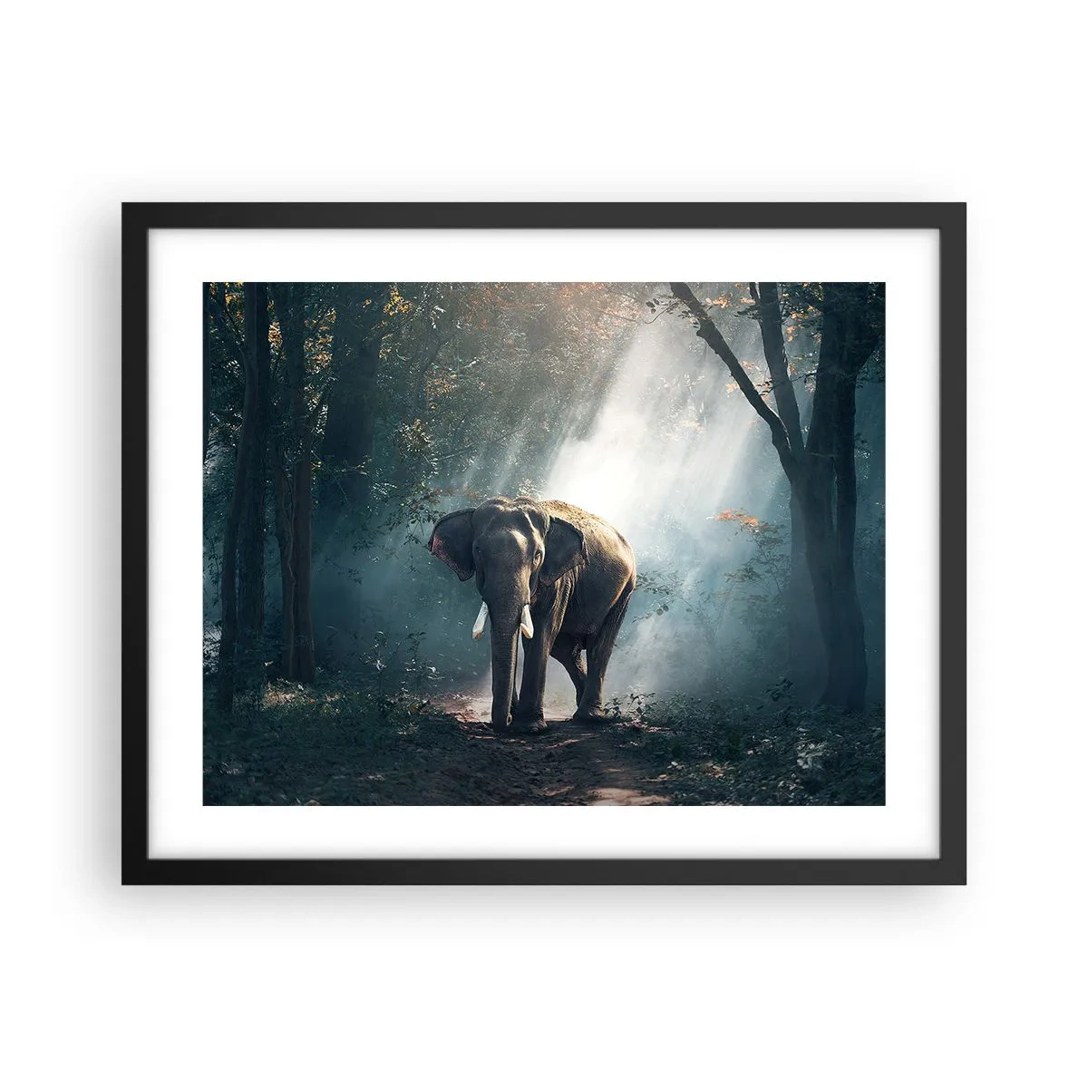 Poster în ramă neagră - O plimbare liniștită - 50x40 cm