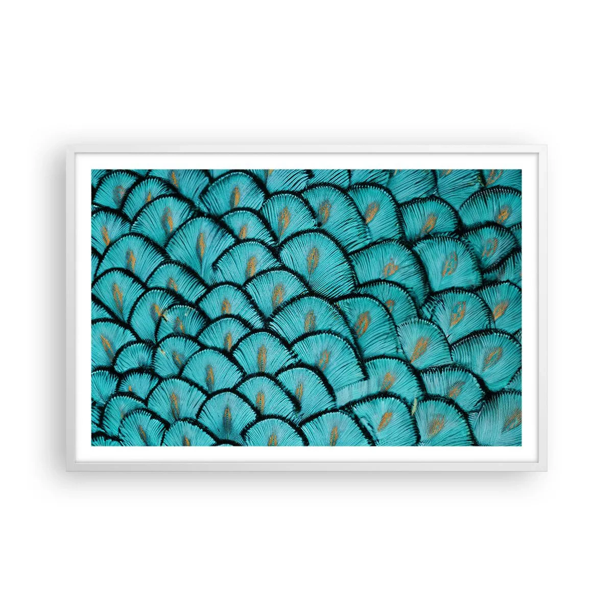 Poster în ramă albă - Marea gală a penelor - 91x61 cm