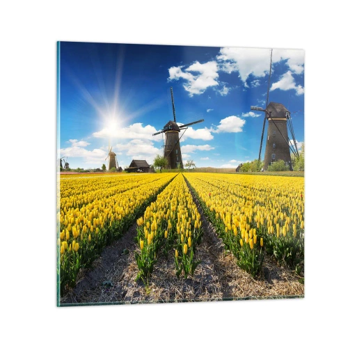 Tablou pe sticlă - Olandez pe cât se poate - 50x50 cm