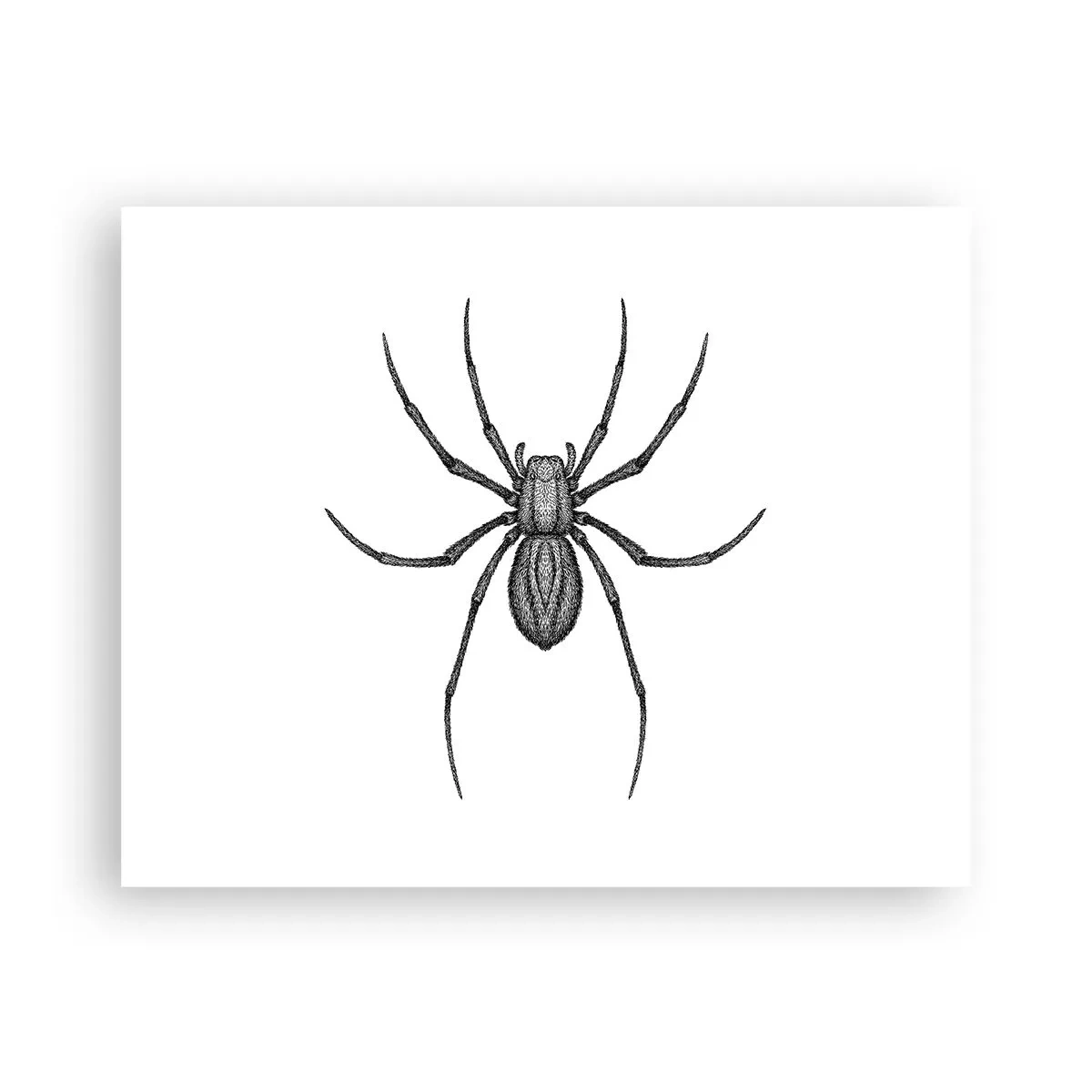 Poster - Precizie tulburătoare - 50x40 cm