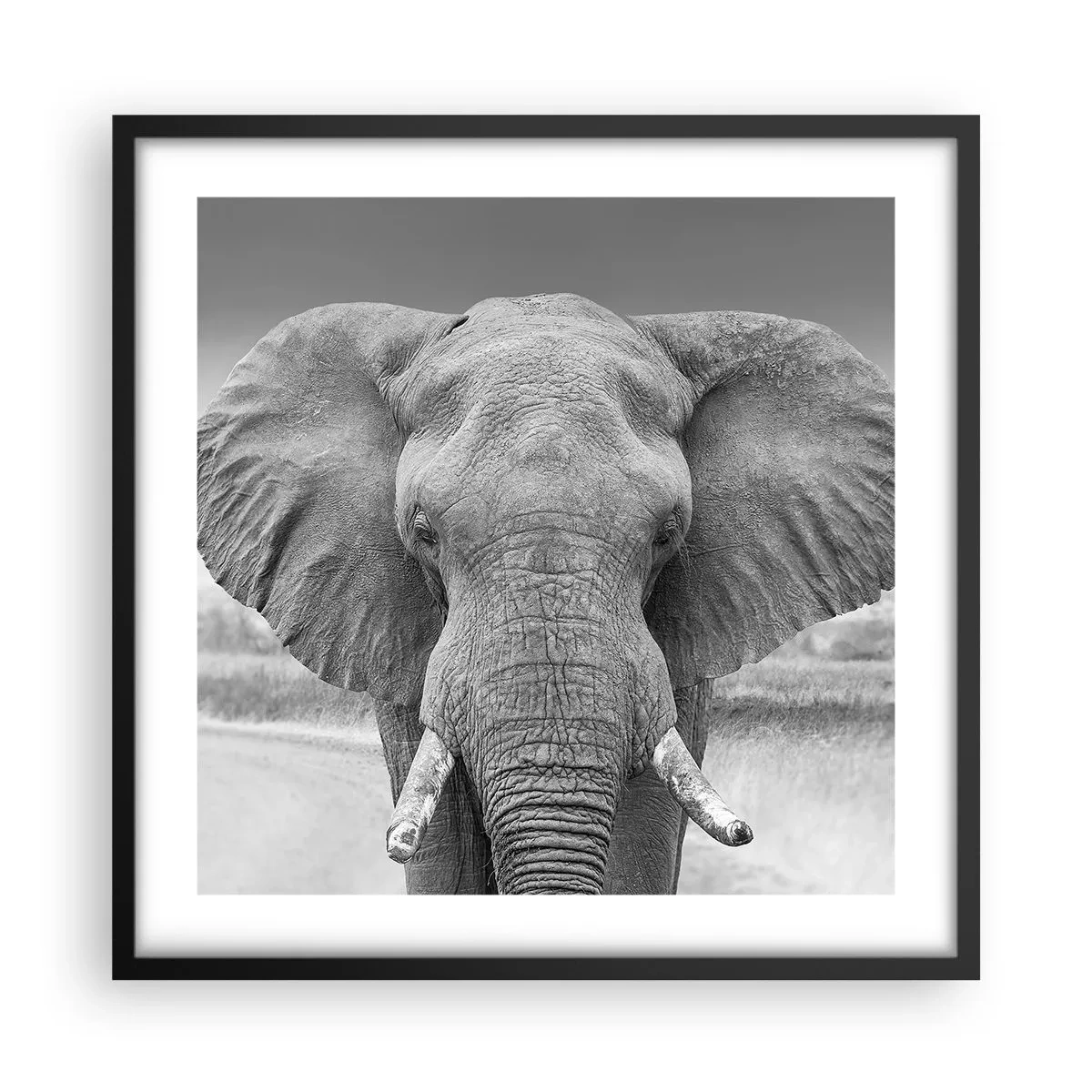 Poster în ramă neagră - Bun venit în lumea mea - 50x50 cm