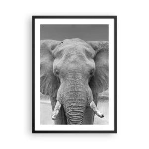 Poster în ramă neagră - Elefant în fotografie artistică alb-negru - 50x70cm - Bun venit în lumea mea - Decorațiune modernă pentru perete pentru living și dormitor ARTTOR
