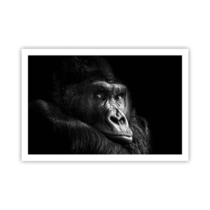 Poster - Și la ce te uiți? - 91x61 cm