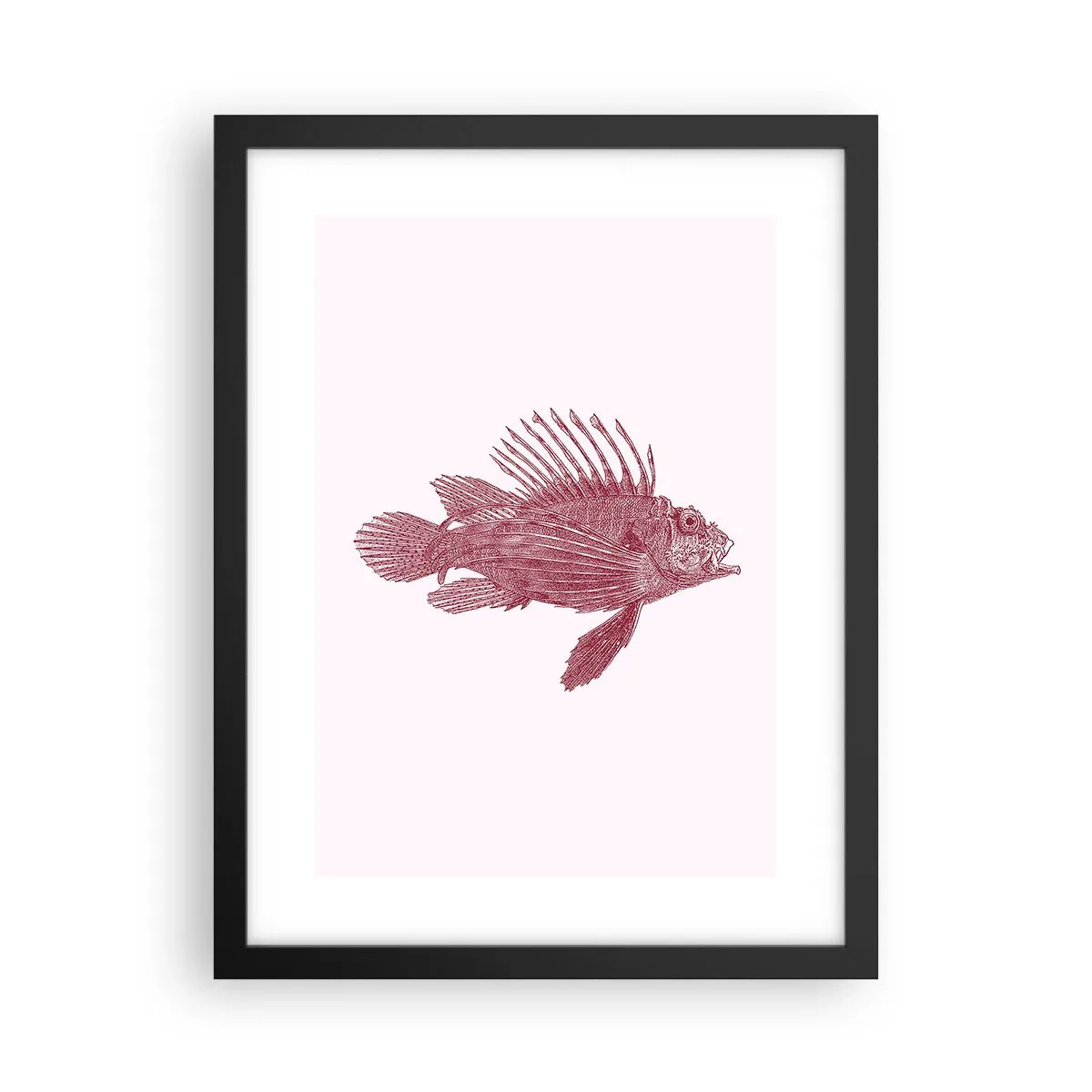 Poster în ramă neagră - Un locuitor al apelor exotice - 30x40 cm