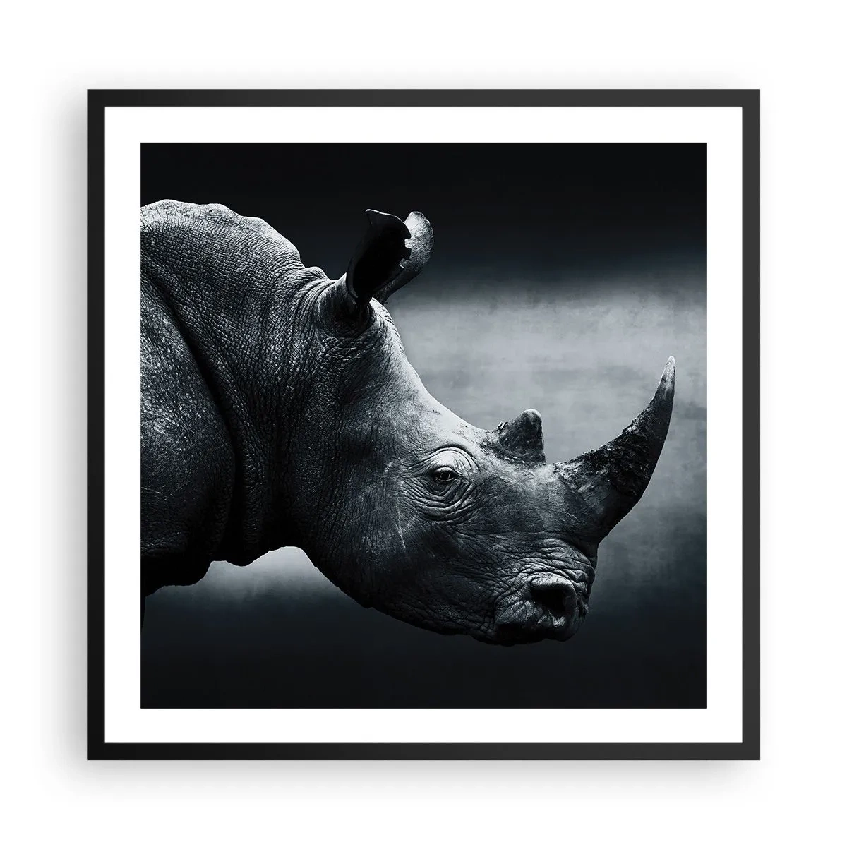 Poster în ramă neagră - Profil drept - 60x60 cm