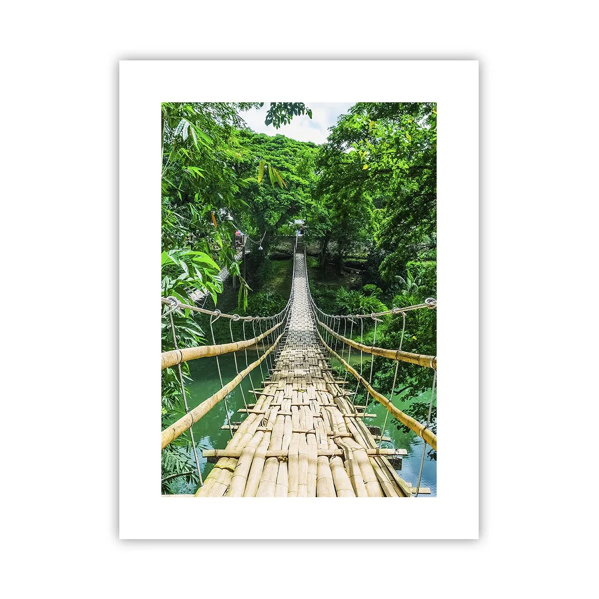Poster - Pod de maimuțe peste verdeață - 30x40 cm