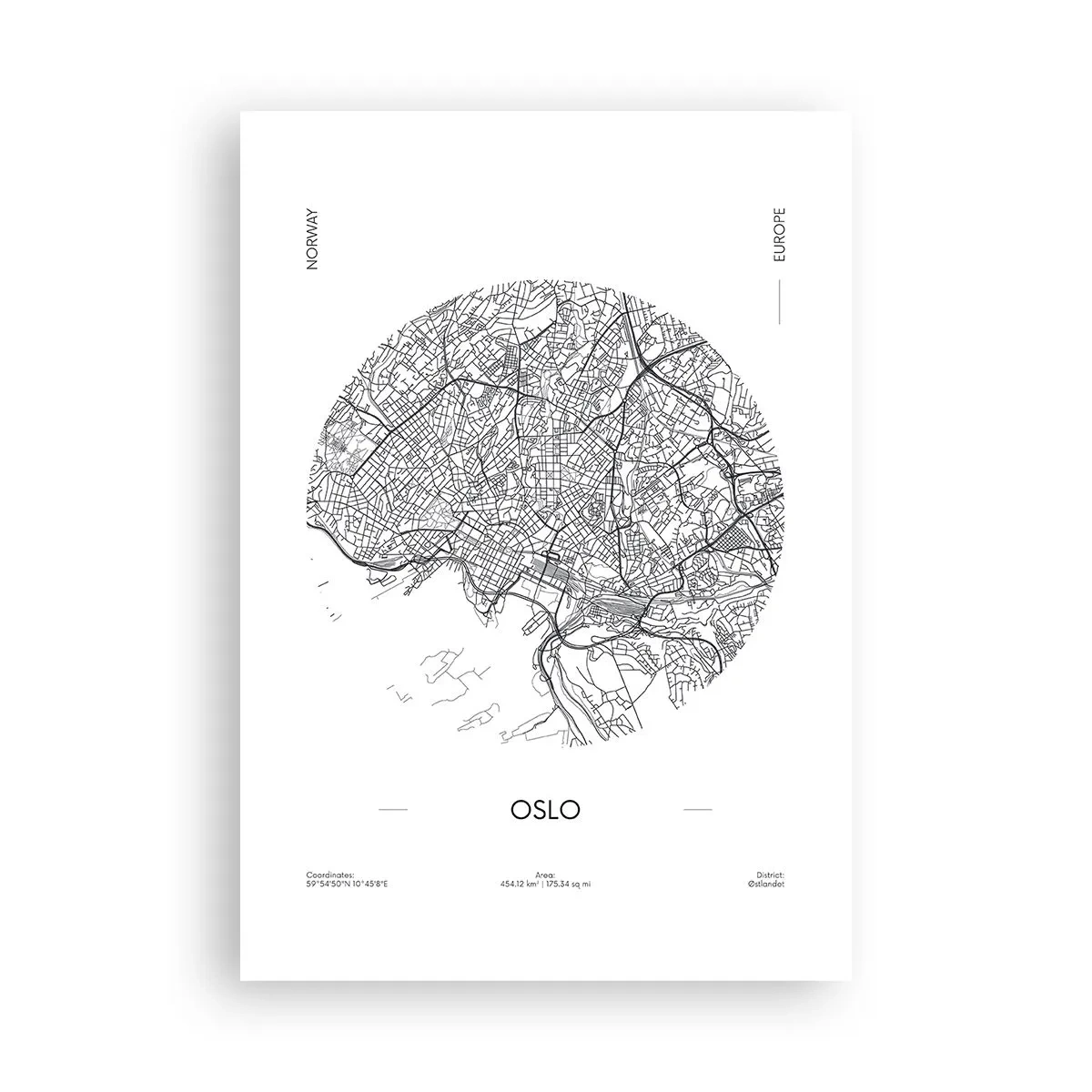 Poster - Anatomia Oslo - 70x100 cm