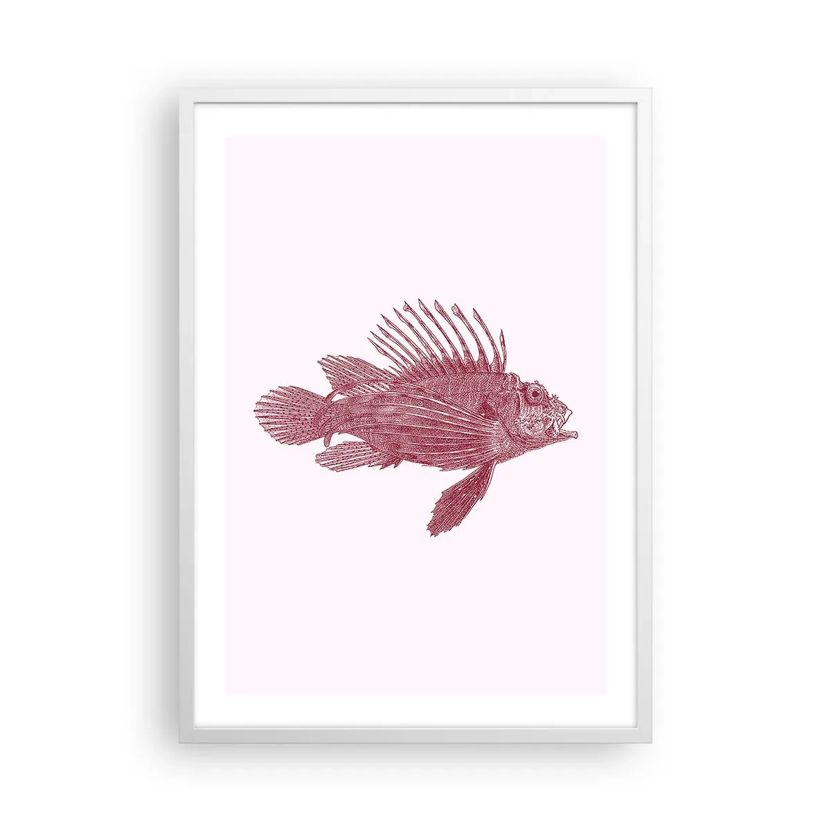 Poster în ramă albă - Un locuitor al apelor exotice - 50x70 cm