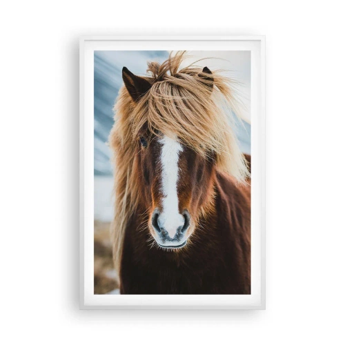 Poster în ramă albă - Simțiți libertatea? - 61x91 cm
