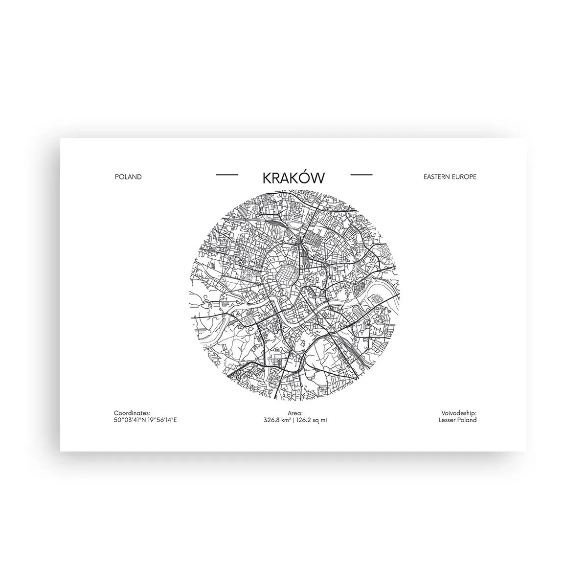 Poster - Anatomia Cracoviei - 91x61 cm