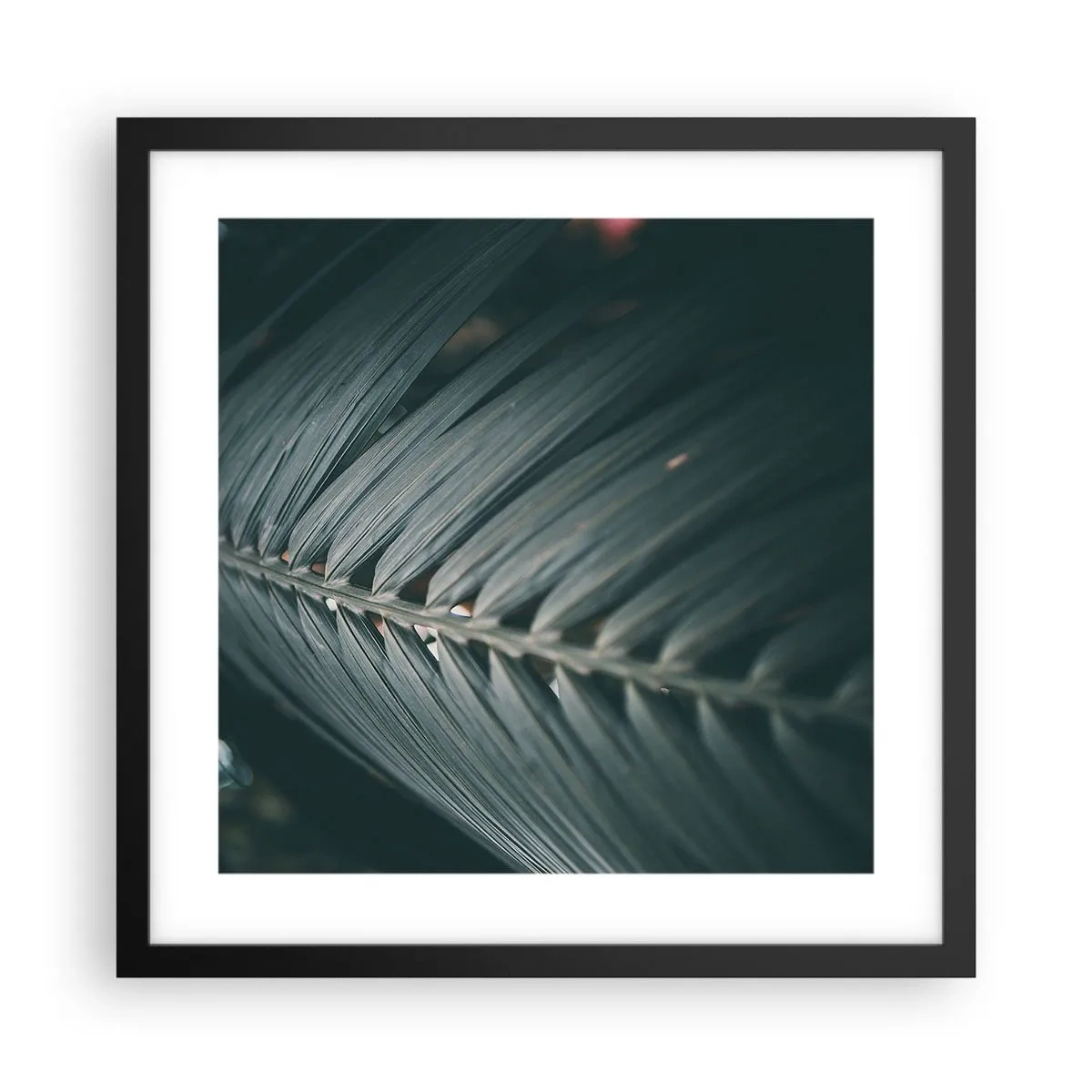 Poster în ramă neagră - Precizia naturii - 40x40 cm