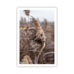 Poster - E timpul să zbori cu vântul - 61x91 cm