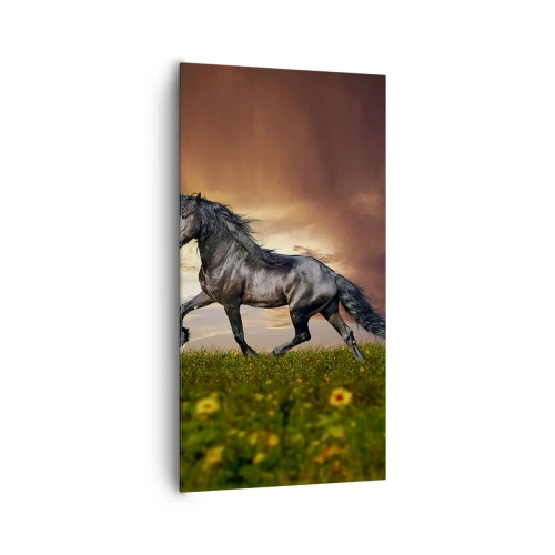 Tablou pe pânză - Prințul negru - 65x120 cm