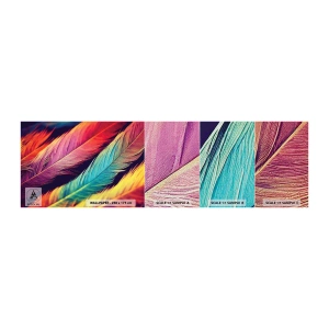 Mostră tapet Premium Canvas - Curcubeu cu pene - pene, Ușoară, Colorat - 100x30 cm
