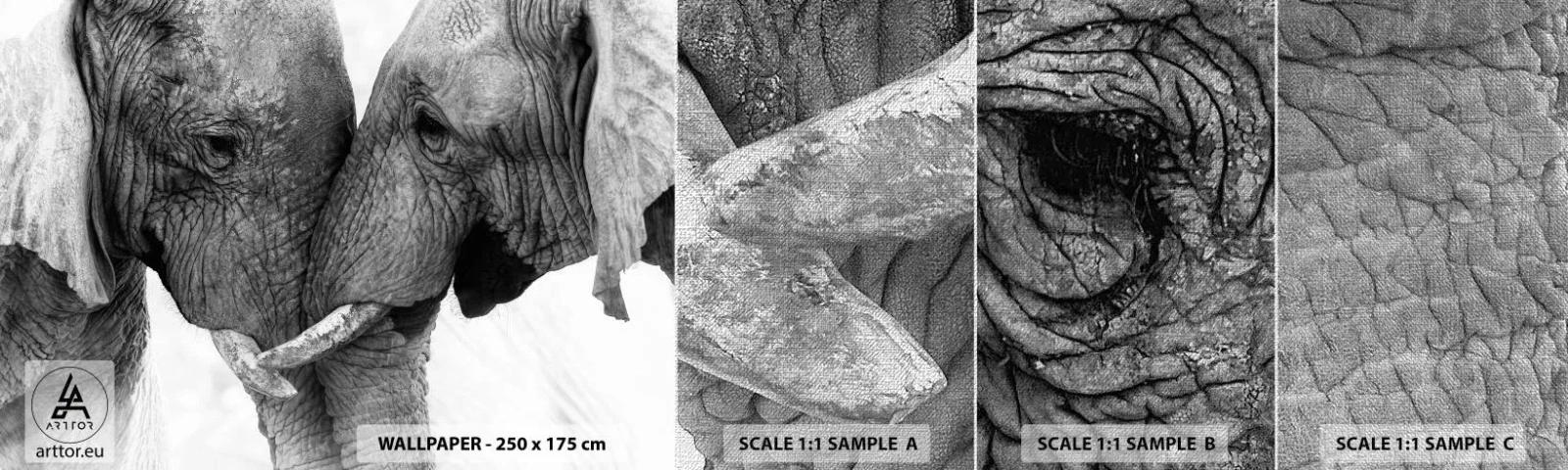 Mostră tapet Premium Canvas - Mărturisire din inimă - Elefant, Animale, Africa - 100x30 cm