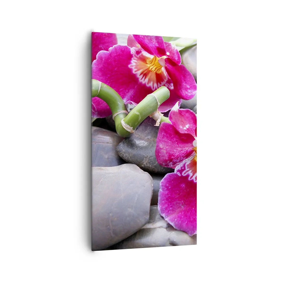 Tablou pe pânză - Frig și căldură - 65x120 cm