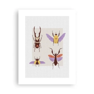 Poster - Lumea insectelor - 30x40 cm