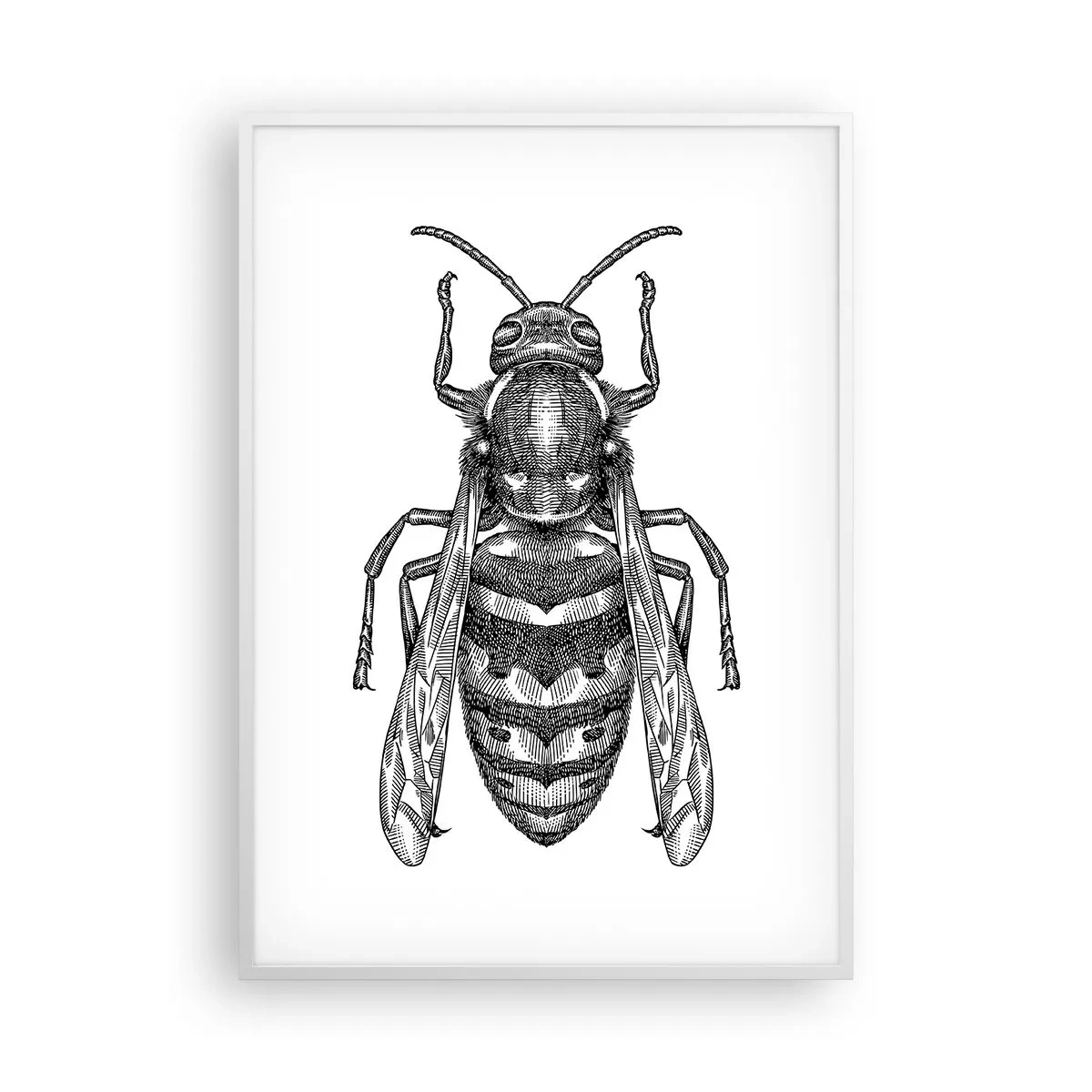 Poster în ramă albă - De pe o planetă de insecte - 70x100 cm