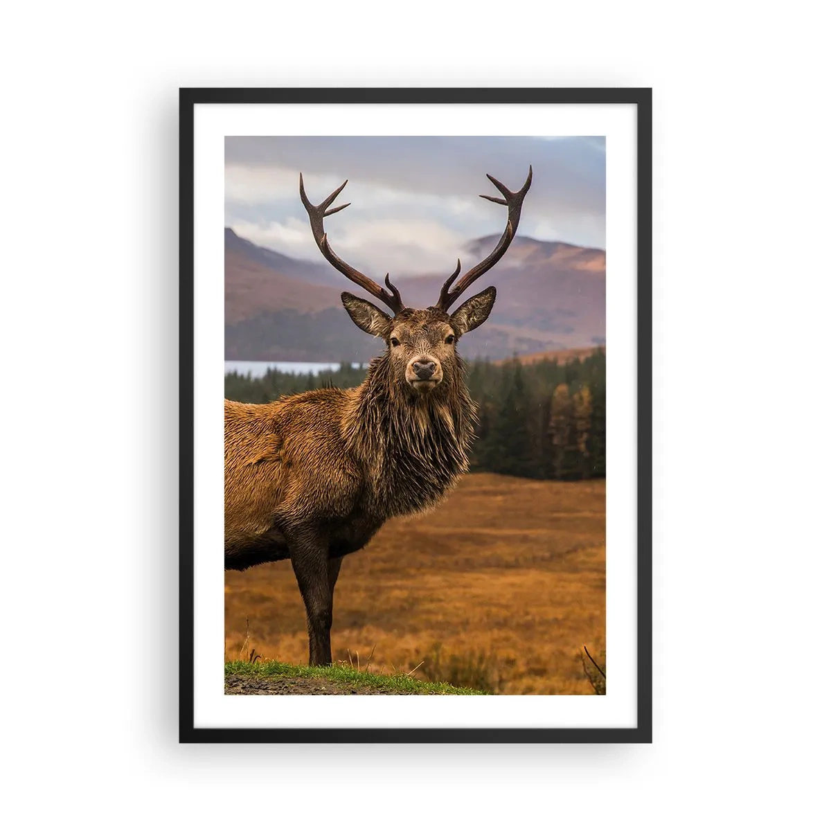 Poster în ramă neagră - Fotografie a unui cerb pe fundalul unui peisaj montan - 50x70cm - Măreția naturii - Decorațiune modernă pentru perete pentru living și dormitor ARTTOR