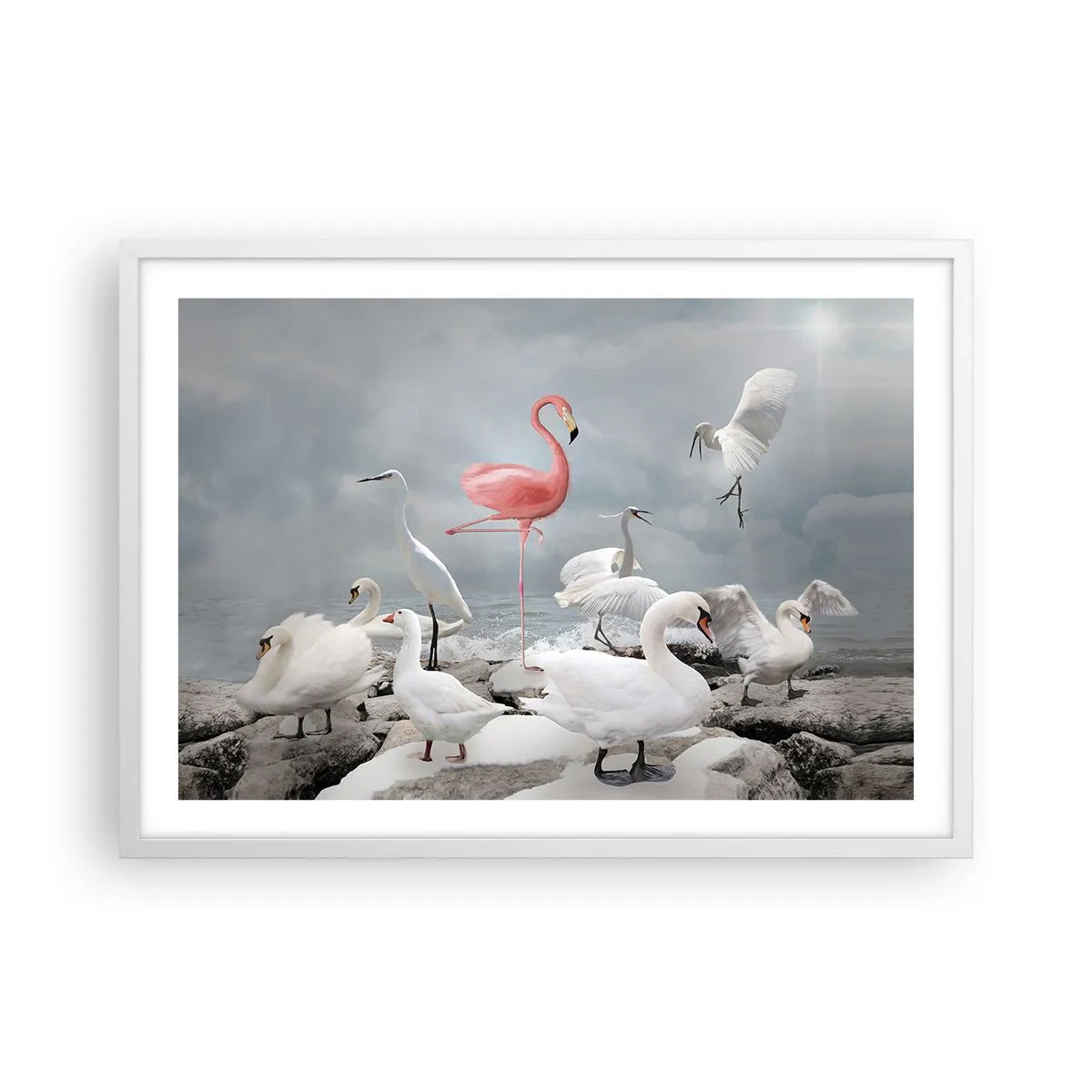 Poster în ramă albă - De unde am venit? - 70x50 cm